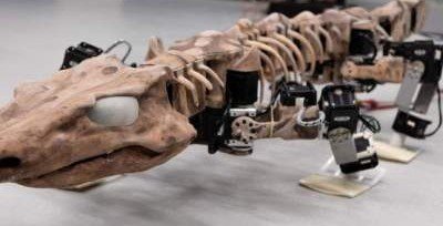 Ученые «оживили» скелет ящера возрастом 290 миллионов лет