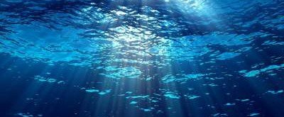 Ученые сделали новое открытие о жизни под водой