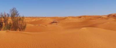 Ученые выяснили удивительный факт о Сахаре