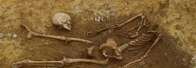 В Англии нашли десятки обезглавленных скелетов