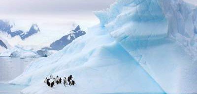 В Антарктике рекордно уменьшилась площадь ледового покрова