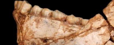 В Арктике обнаружили зубы древнего человека