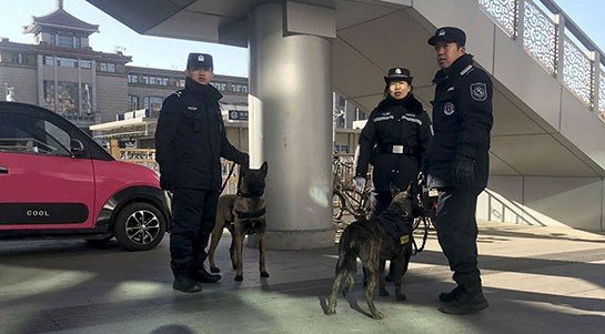 В Пекине мужчина ранил 20 детей в одной из начальных школ