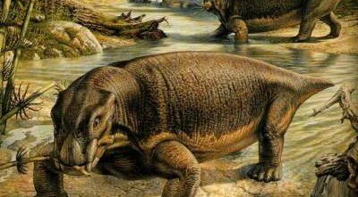 В Польше нашли останки древнего динозавра