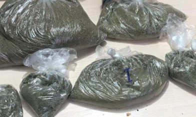 АДЫГЕЯ. У жителя Адыгеи полиция изъяла 700 граммов марихуаны