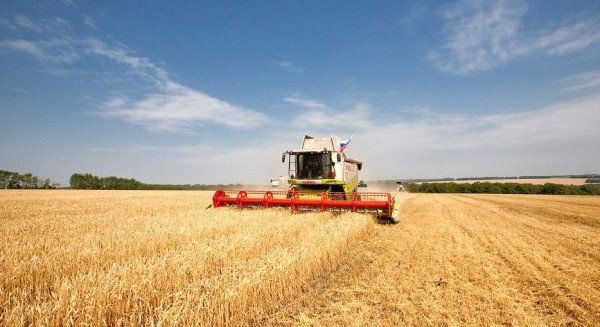 КБР. В КБР отмечается рост сельхозпроизводства