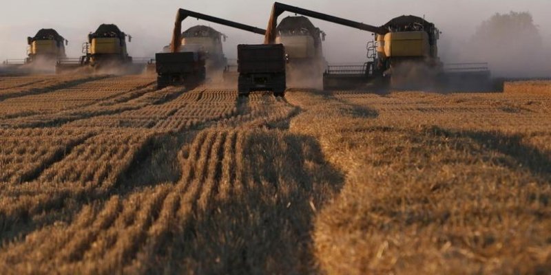 КЧР. Объем сельхозпроизводства в Карачаево-Черкесии в 2018г вырос на 1,6%