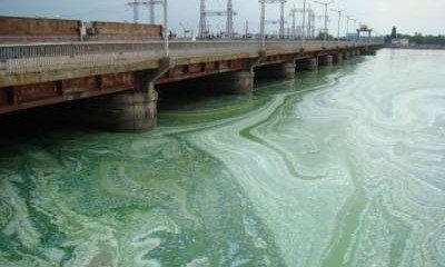 Ученые спрогнозировали высыхание крупнейшей реки Украины