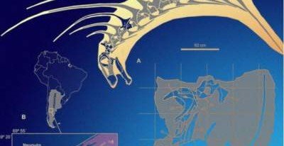 В Аргентине нашли окаменелости уникального динозавра