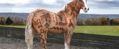 В Британии появился эксперт по художественной стрижке лошадей