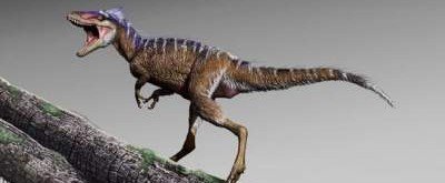 В США нашли скелет тираннозавра родом из Азии