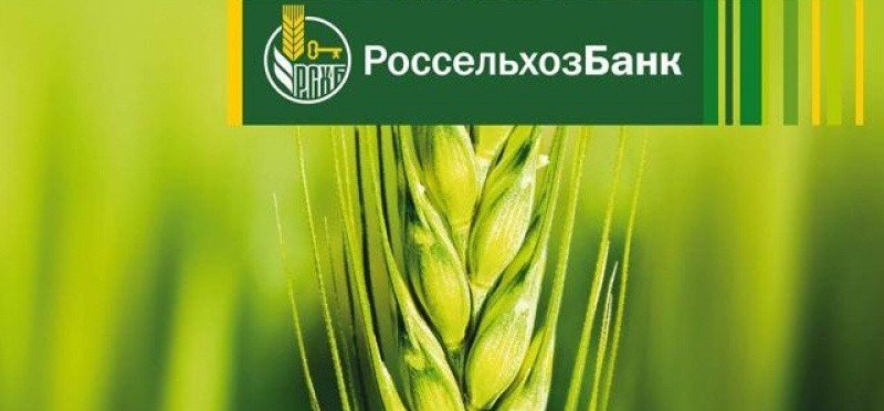 ЧЕЧНЯ. Чеченский филиал РСХБ выдал потребительские кредиты на 330 млн рублей