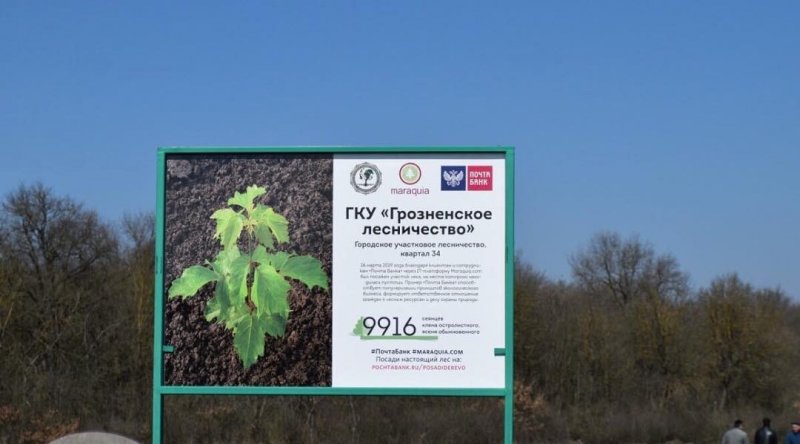 ЧЕЧНЯ.  Чечня продолжает участие в экологическом проекте «Почта Банка»