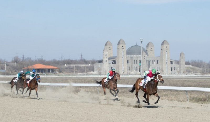 ЧЕЧНЯ. Грандиозный праздник для любителей конного спорта состоялся в Гудермесе