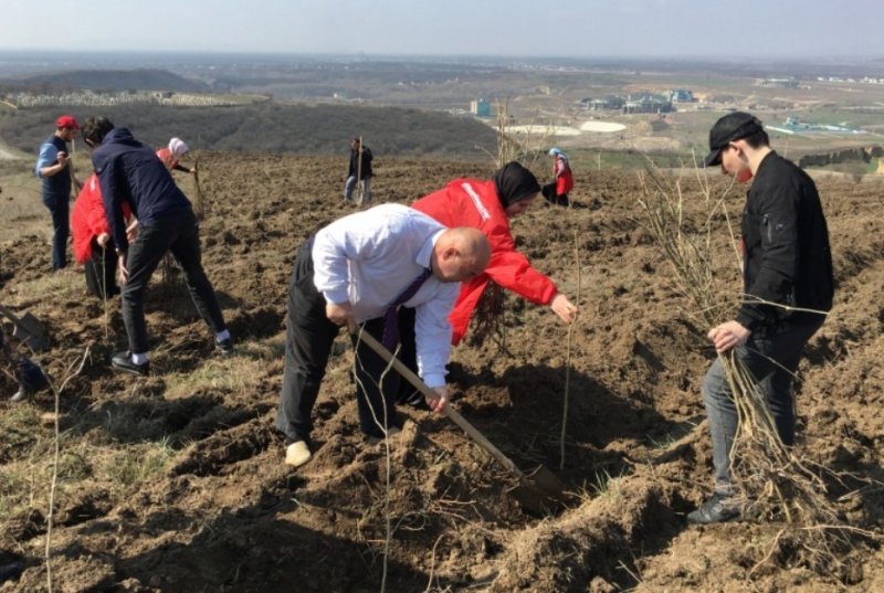 ЧЕЧНЯ. Команда «Молодежки ОНФ» в Чечне приняла участие в посадке леса