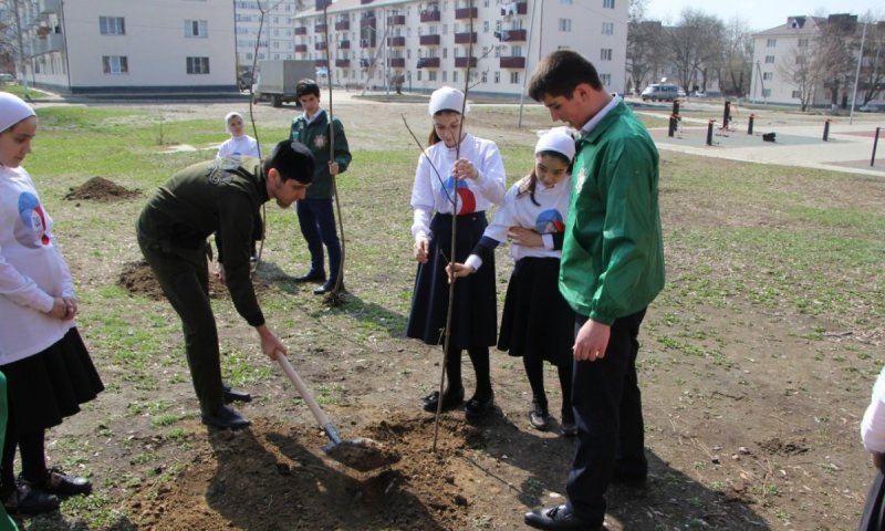 ЧЕЧНЯ. На пришкольных территориях города Грозного прошла акция «Зеленый город»
