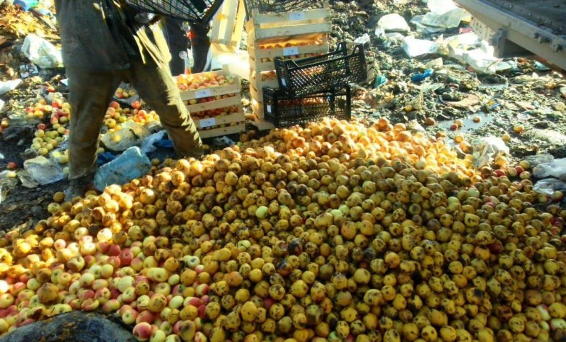 ДАГЕСТАН.  В Махачкале уничтожили около двух тонн  яблок