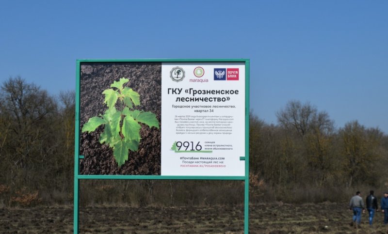 ЧЕЧНЯ. В рамках экологической акции "Подари лес другу!" в Чечне посажено около 10 тыс деревьев