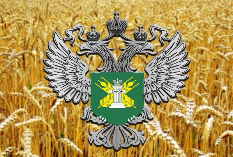 ЧЕЧНЯ. В Шелковском районе выявлено нарушение земельного законодательства РФ