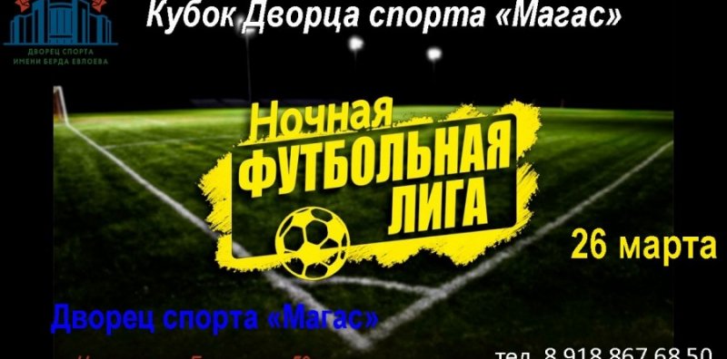 ИНГУШЕТИЯ. В Ингушетии стартует проект «Ночная футбольная Лига»