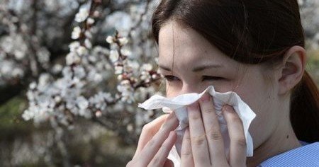 КРЫМ. В Крыму начался период сезонной аллергии