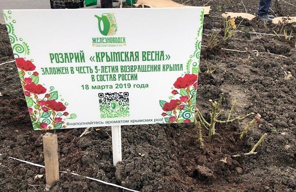 СТАВРОПОЛЬЕ. Партийцы в Железноводске присоединились к общероссийской акции и высадили аллею крымских роз