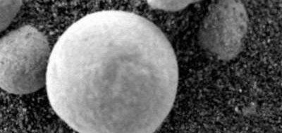 Ученые нашли грибы на Марсе