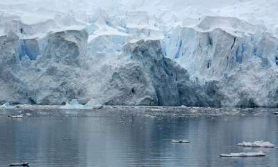 Ученые предупредили об изменениях, которые случатся с Антарктидой