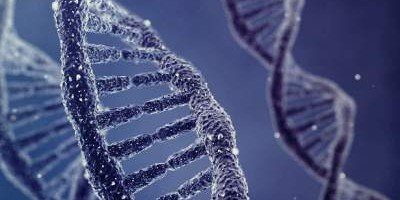 Ученые заставили молекулу ДНК делить и умножать