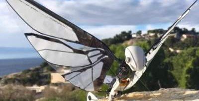 Во Франции разработали летающего робота в виде бабочки