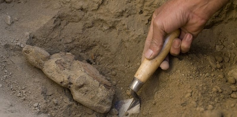 АДЫГЕЯ. В Адыгее черные копатели разграбили курган VI-VII веков