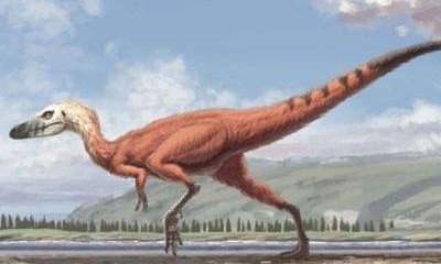 Археологи обнаружили отпечатки лап самого мелкого динозавра