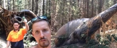 Австралиец сделал селфи на фоне "инопланетного космического корабля"