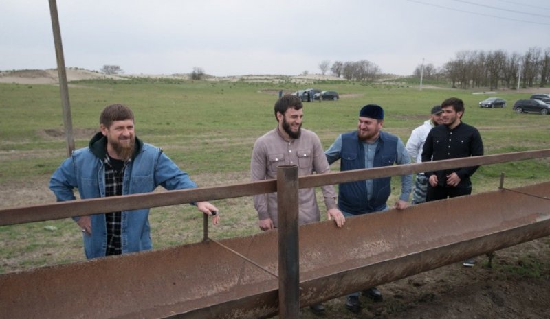 ЧЕЧНЯ. Глава Чечни посетил крестьянско-фермерские хозяйства в Шелковском районе