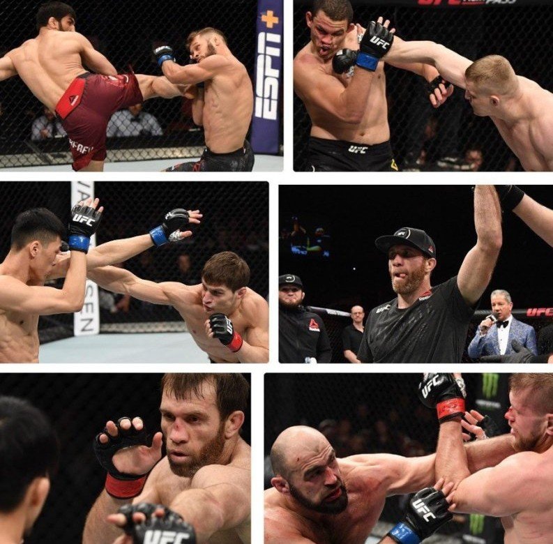 ЧЕЧНЯ. Глава Чечни поздравил российских бойцов с победами на турнире UFC