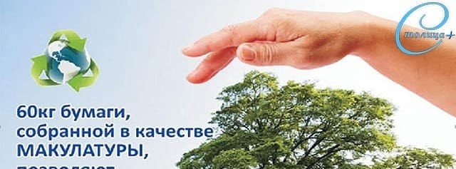 ЧЕЧНЯ.  «Молодёжка» ОНФ проведет всероссийскую экологическую акцию