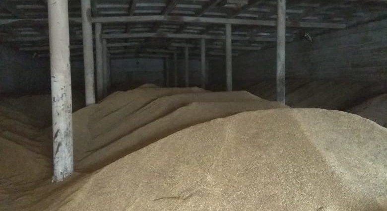 ЧЕЧНЯ. В госхозе «Белгатой» выявлен факт реализации зерна без карантинного сертификата