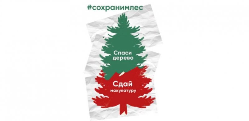 ЧЕЧНЯ. В регионе провели Всероссийскую экологическую акцию «Сохраним лес»