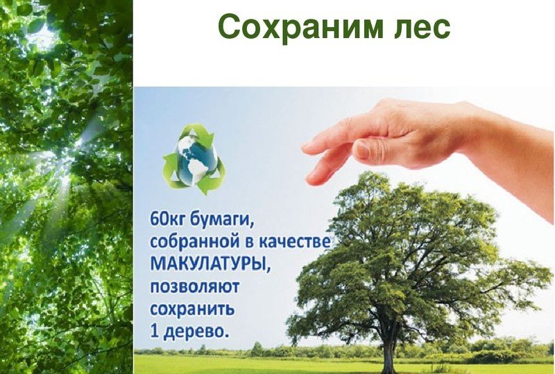 ИНГУШЕТИЯ. В рамках экологической акции в республике открыто пять пунктов приема макулатуры