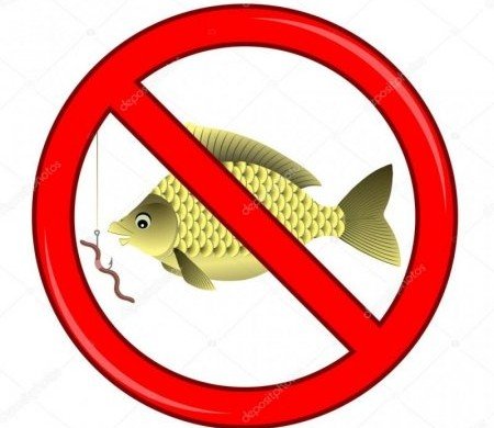 КРЫМ. На Крымском полуострове вводится нерестовый запрет на лов рыбы