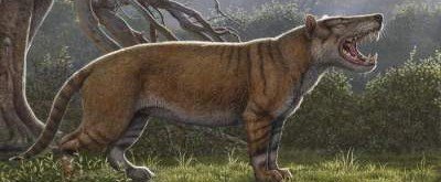 Найдены останки огромного доисторического льва