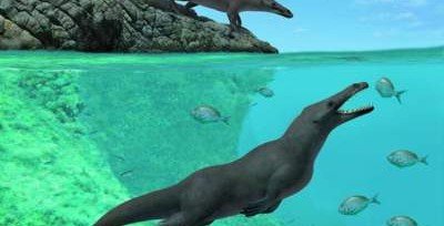 Палеонтологи нашли в Перу древнего четвероногого кита с копытами