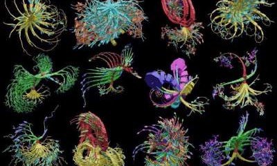 Ученые представили первый в мире искусственный геном бактерий