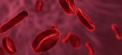 Ученые рассказали о существовании уникального типа крови
