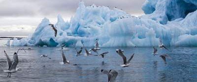 В Арктике доказывает глобальные изменения климата