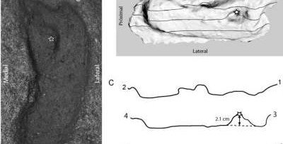 В Чили найден самый древний в Америке след человека