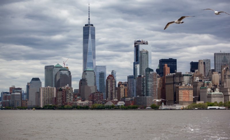В США небоскрёбы ежегодно убивают до 1 млрд птиц