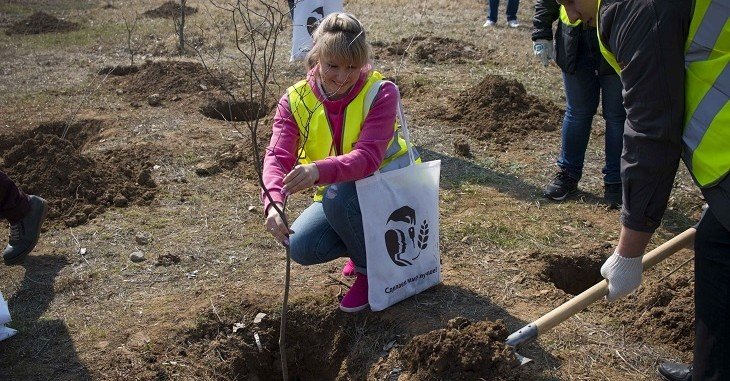 ВОЛГОГРАД. Благодаря пивоварам в Волжском появилась  «Сиреневая аллея»