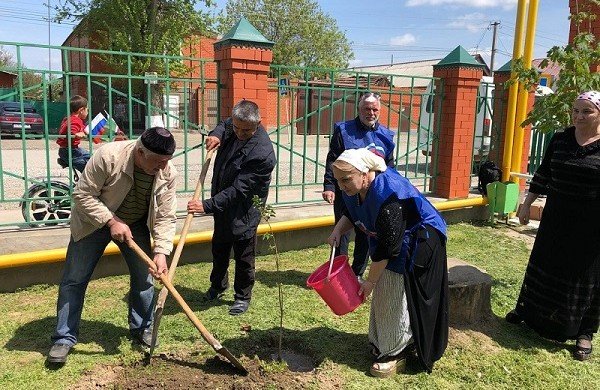 ЧЕЧНЯ. «Единая Россия» организовала посадку саженцев в школах Чечни