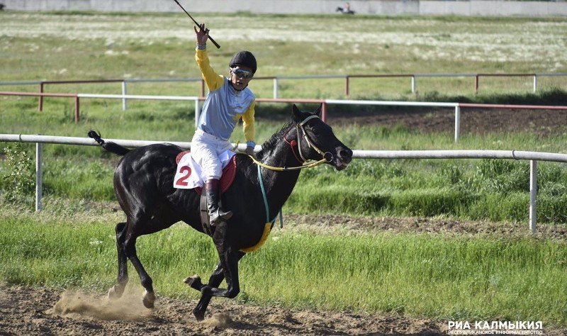 КАЛМЫКИЯ. Новая традиция в калмыцком конном спорте